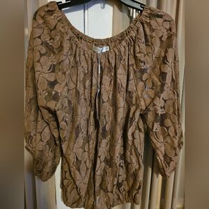 Sheer dressy blouse with balloon sleeves with elastic at sleeve and waist